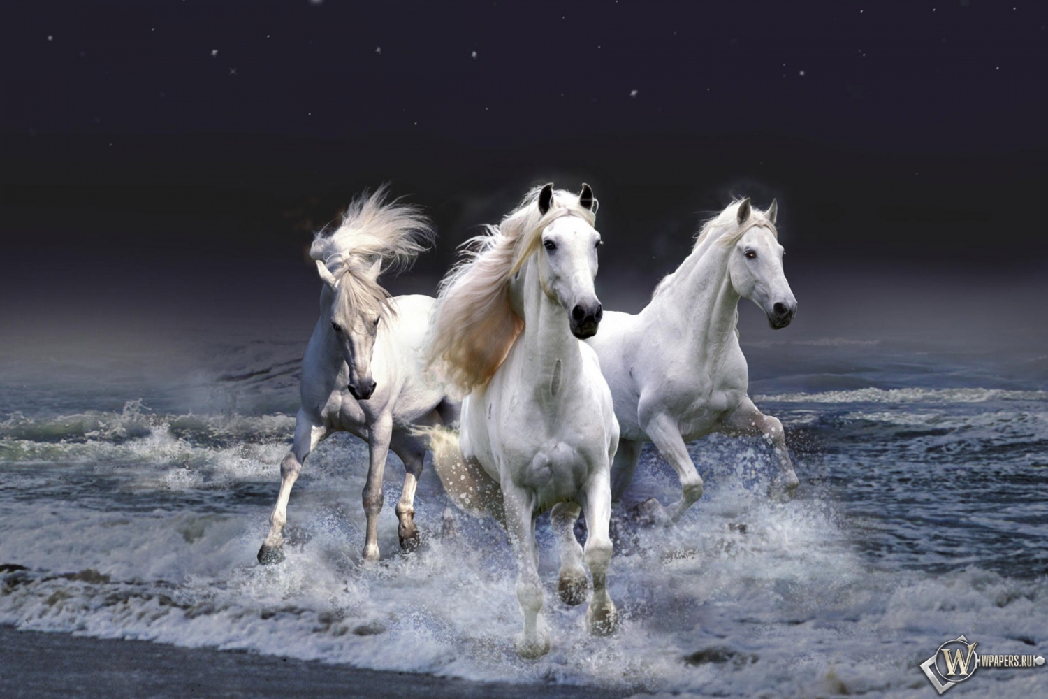 Белые лошади бегущие по волнам 1500x1000