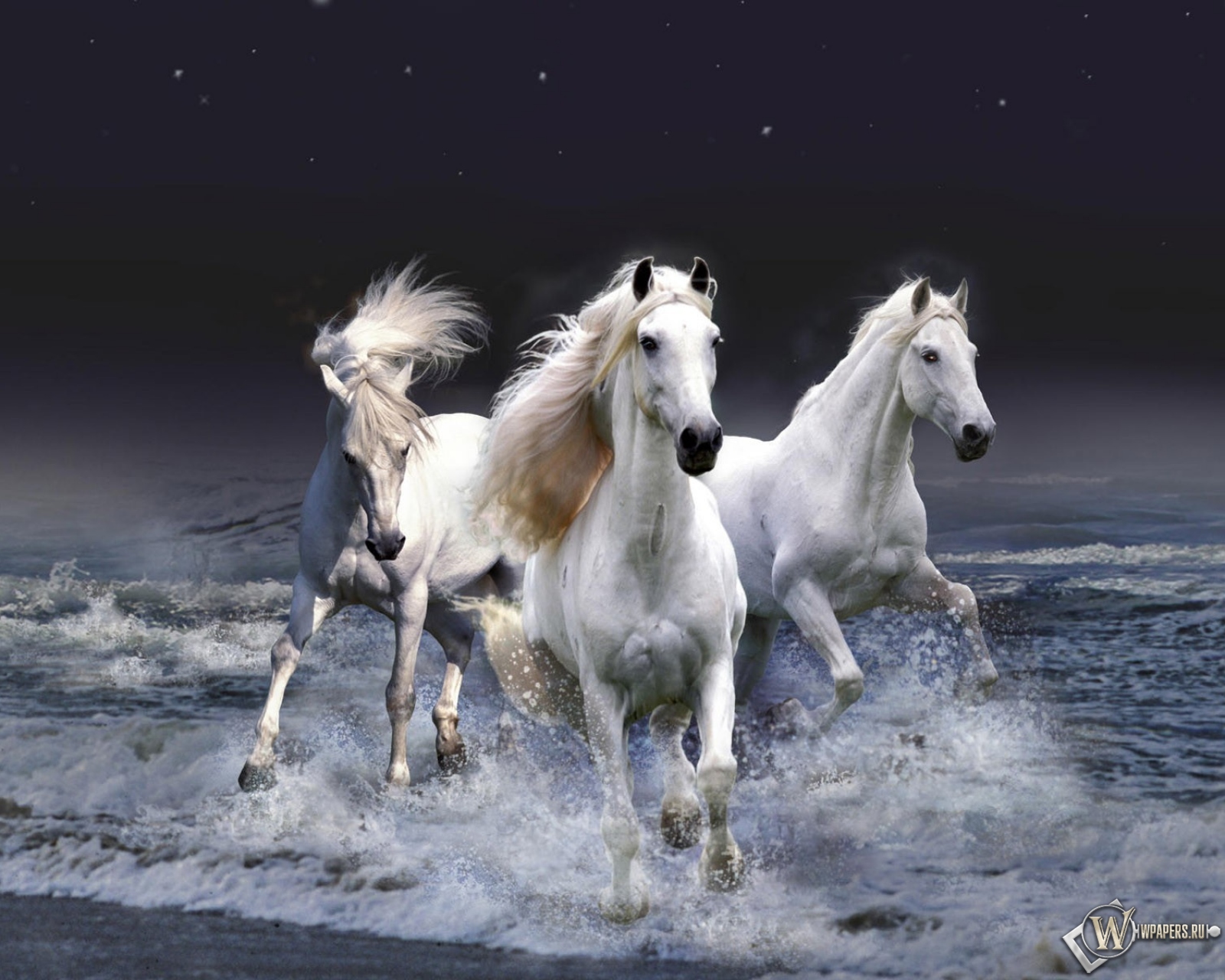 Белые лошади бегущие по волнам 1600x1280