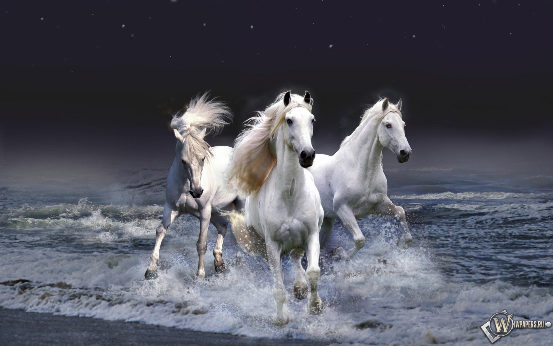 Белые лошади бегущие по волнам 1920x1200