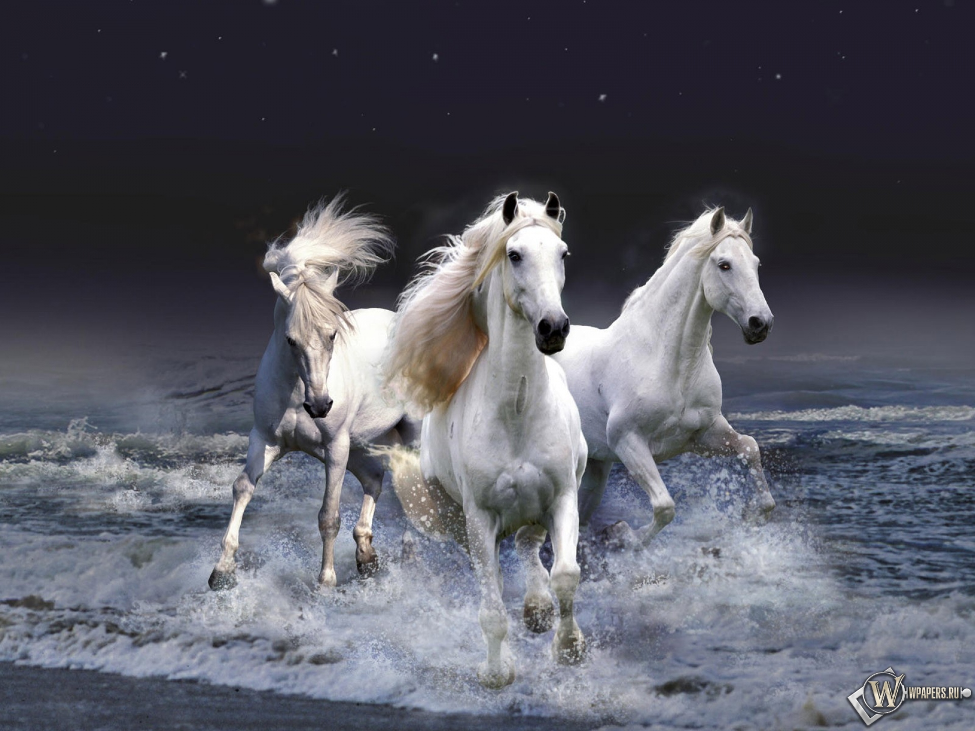 Белые лошади бегущие по волнам 1920x1440