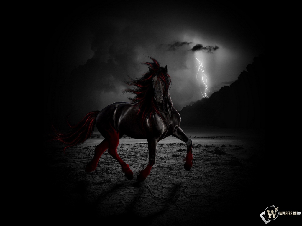 Черный конь ночью 1024x768