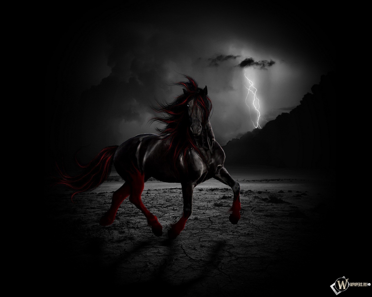 Черный конь ночью 1280x1024