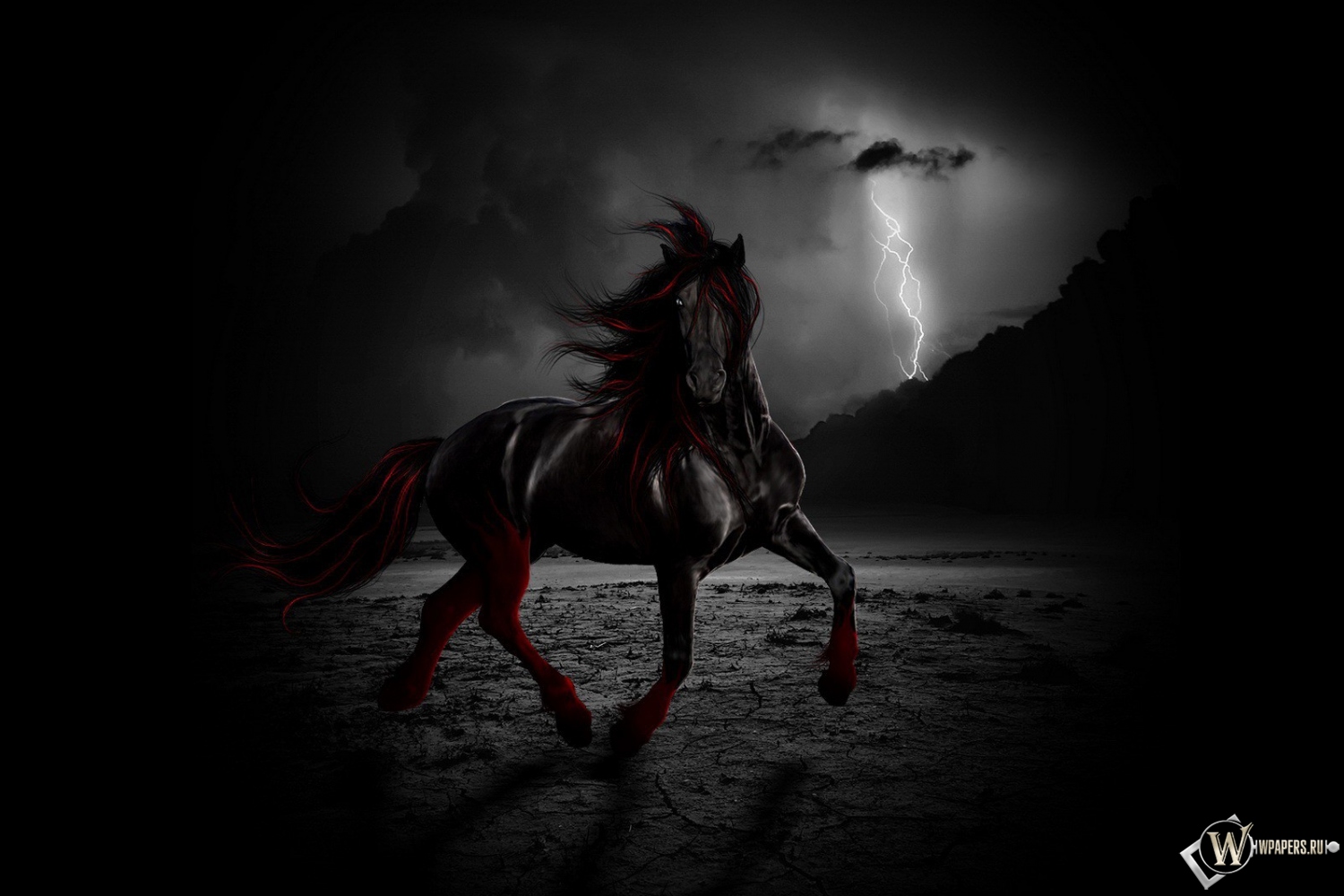 Черный конь ночью 1500x1000