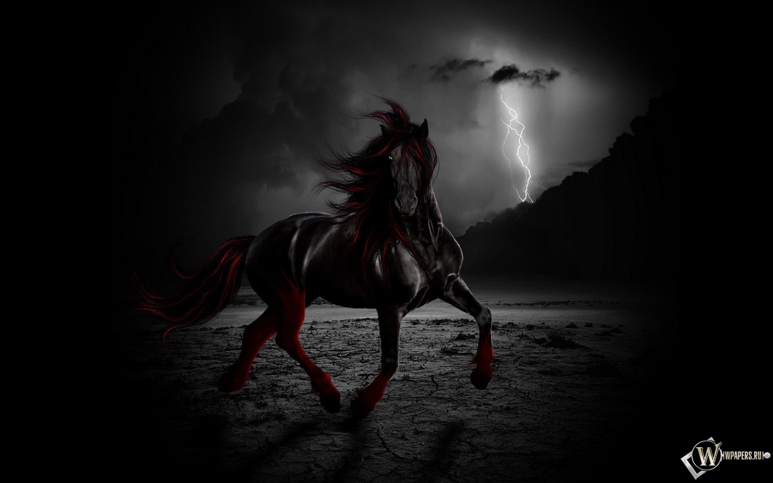 Черный конь ночью 1536x960