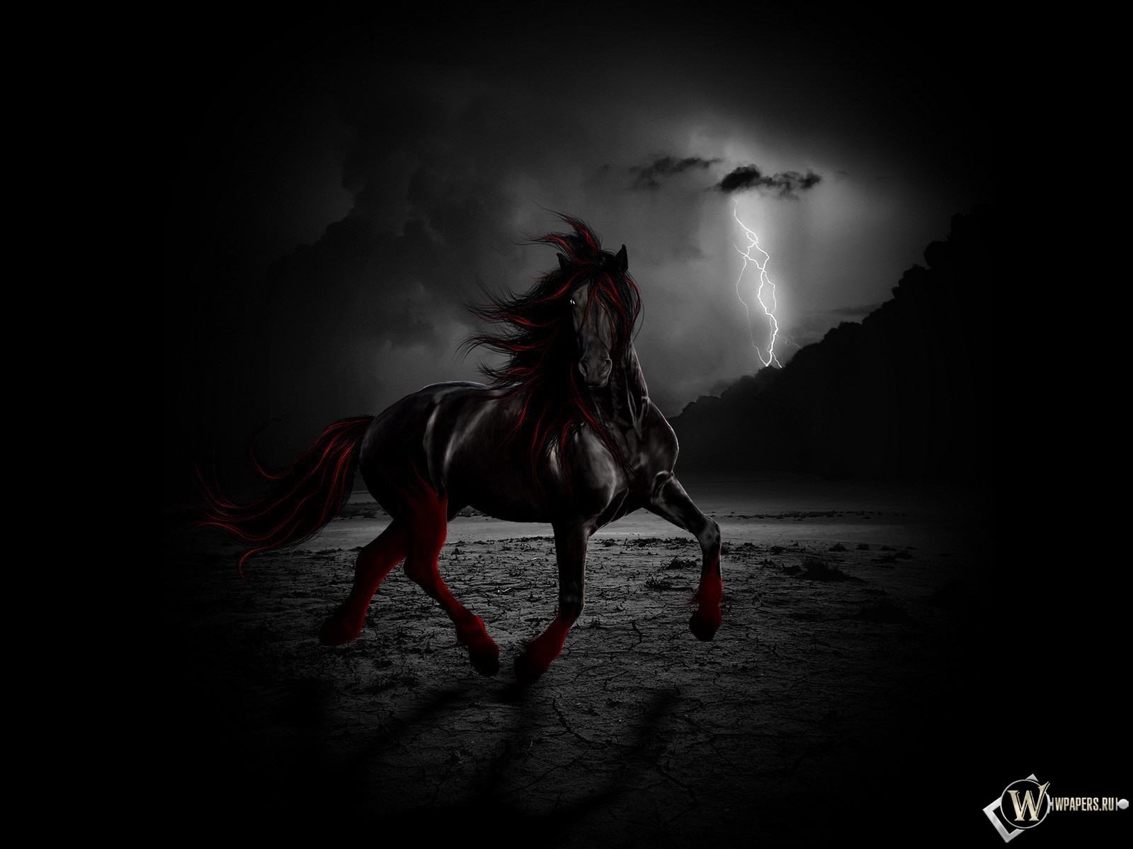 Черный конь ночью 1600x1200