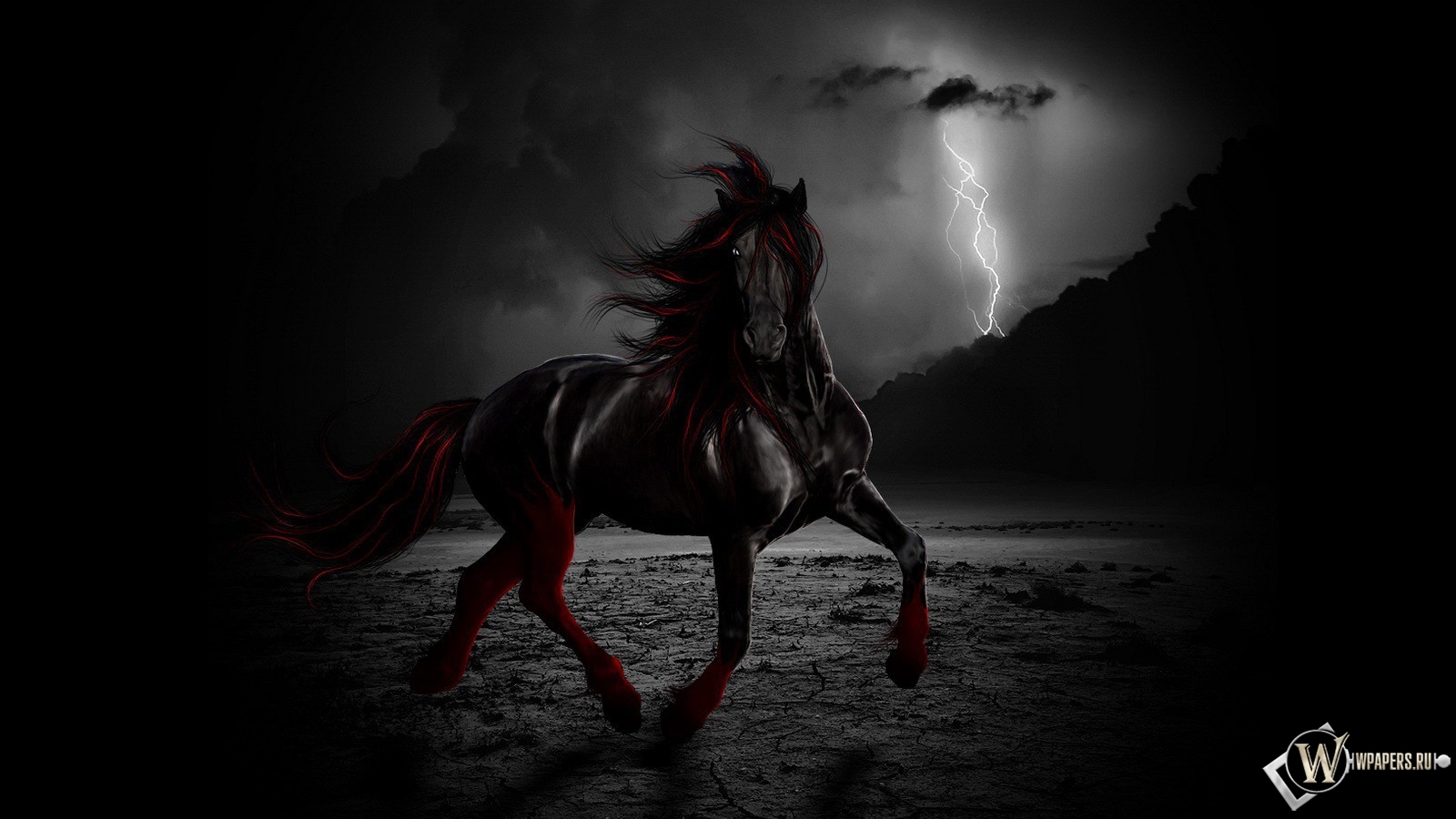 Черный конь ночью 1600x900