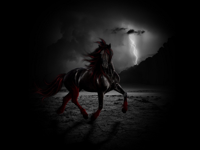 Черный конь ночью