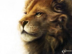 Обои Рисованный Лев: Лев, Картинка, Львы