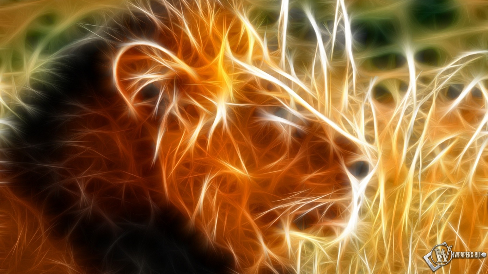 Огненный Лев 1600x900