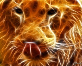 Обои Огненный лев: Пламя, Морда, Огненные линии, Львы