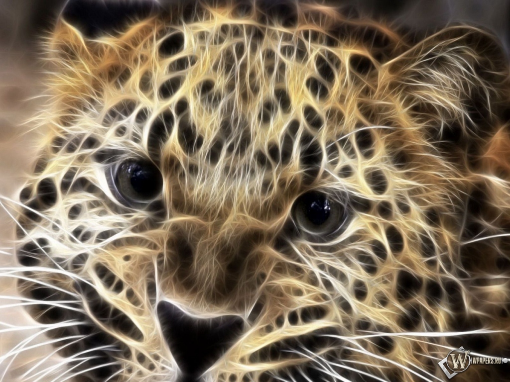 Леопард в обработке 1024x768