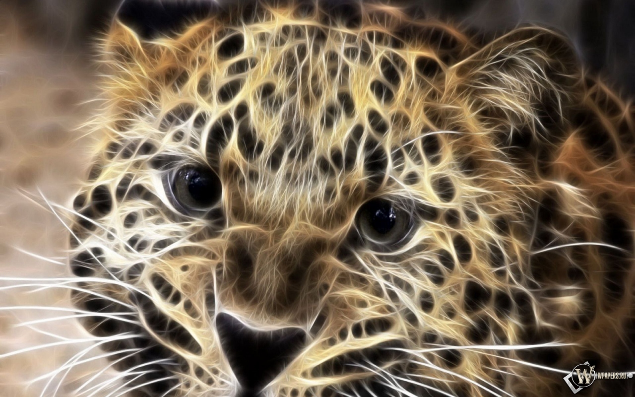 Леопард в обработке 1280x800