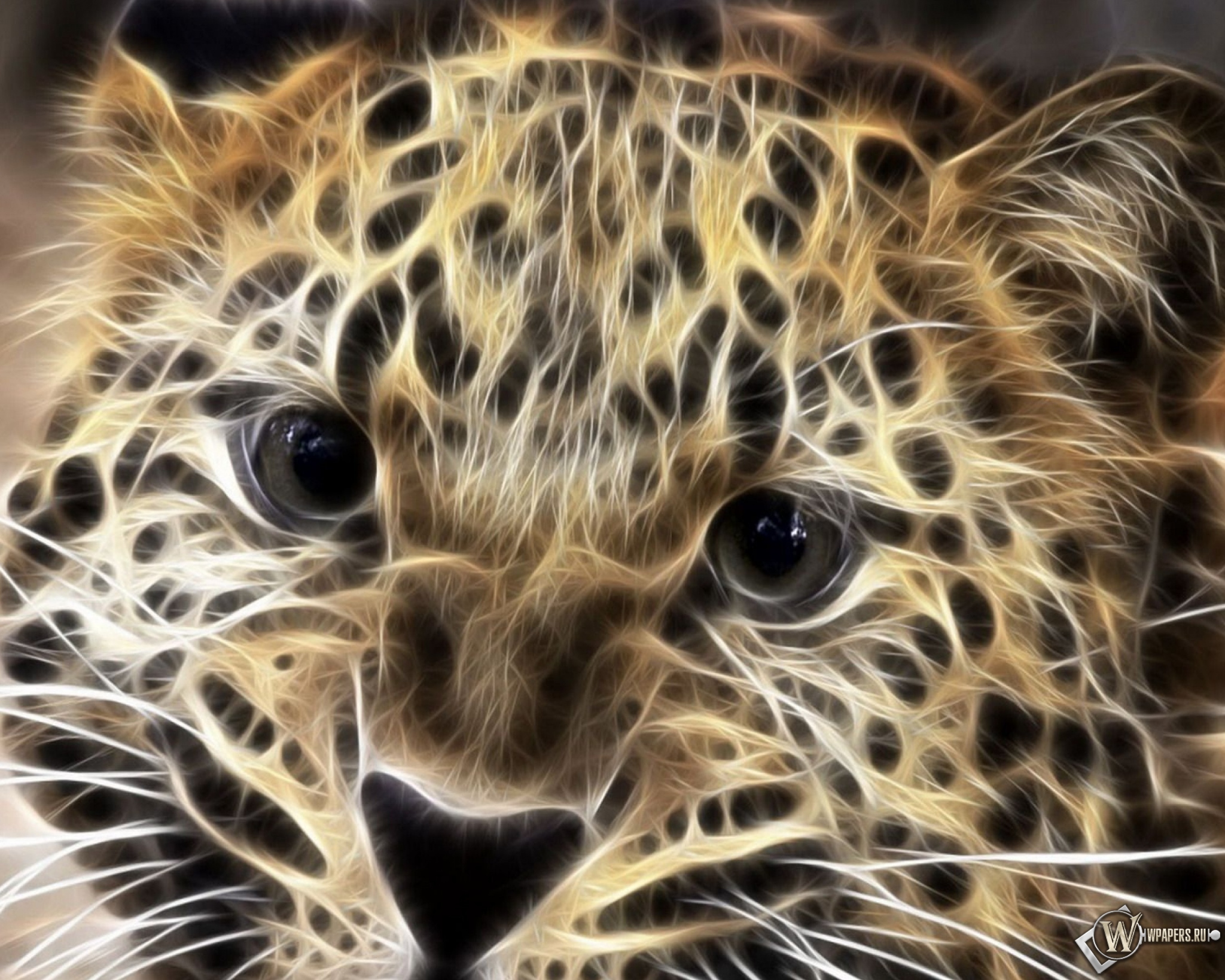 Леопард в обработке 2048x1638