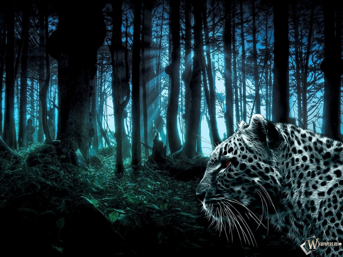 Лес и леопард 1152x864
