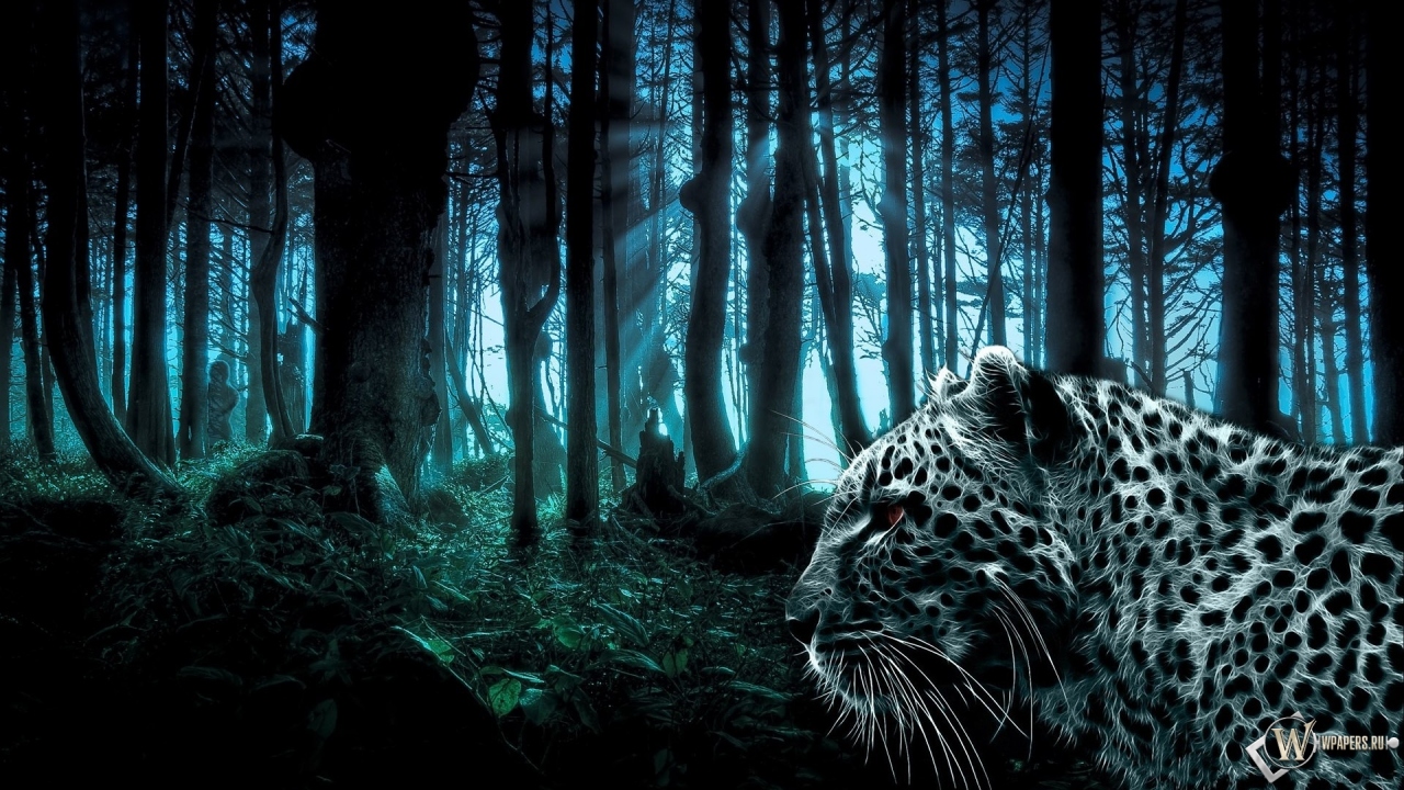 Лес и леопард 1280x720