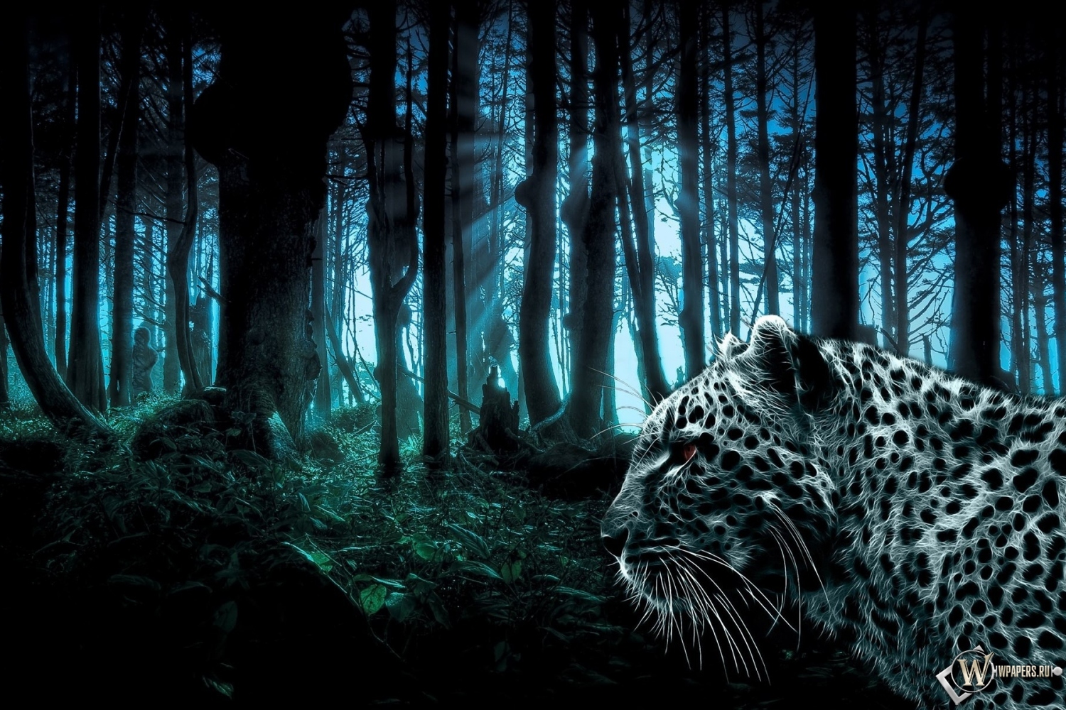 Лес и леопард 1500x1000