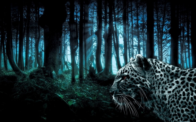 Лес и леопард