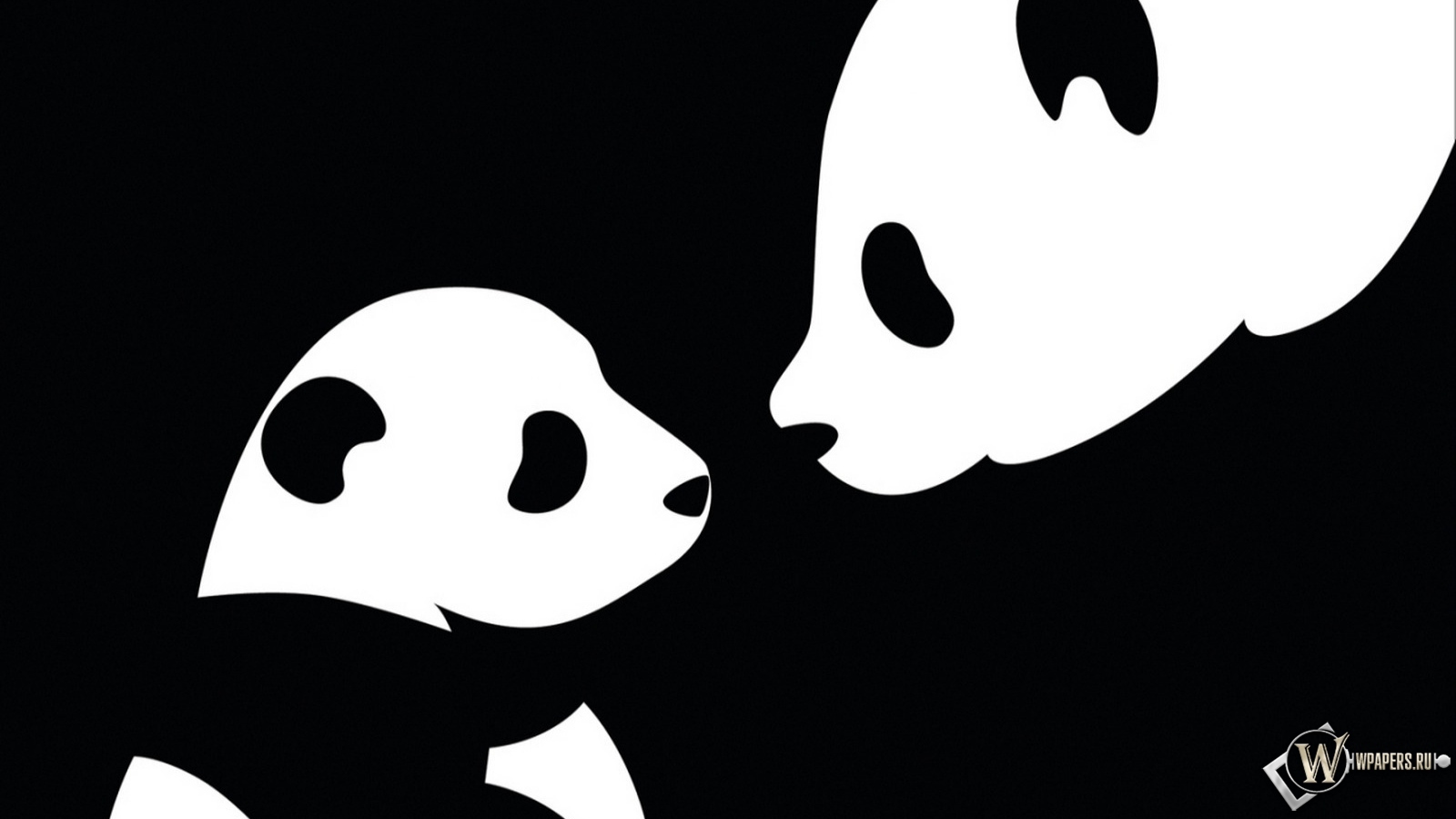 Две панды 1600x900