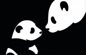 Обои Две панды: Панда, Ребёнок, Черно-белое, Мама, Панды