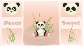 Обои Панда-конфетка: Панда, Животное, Панды