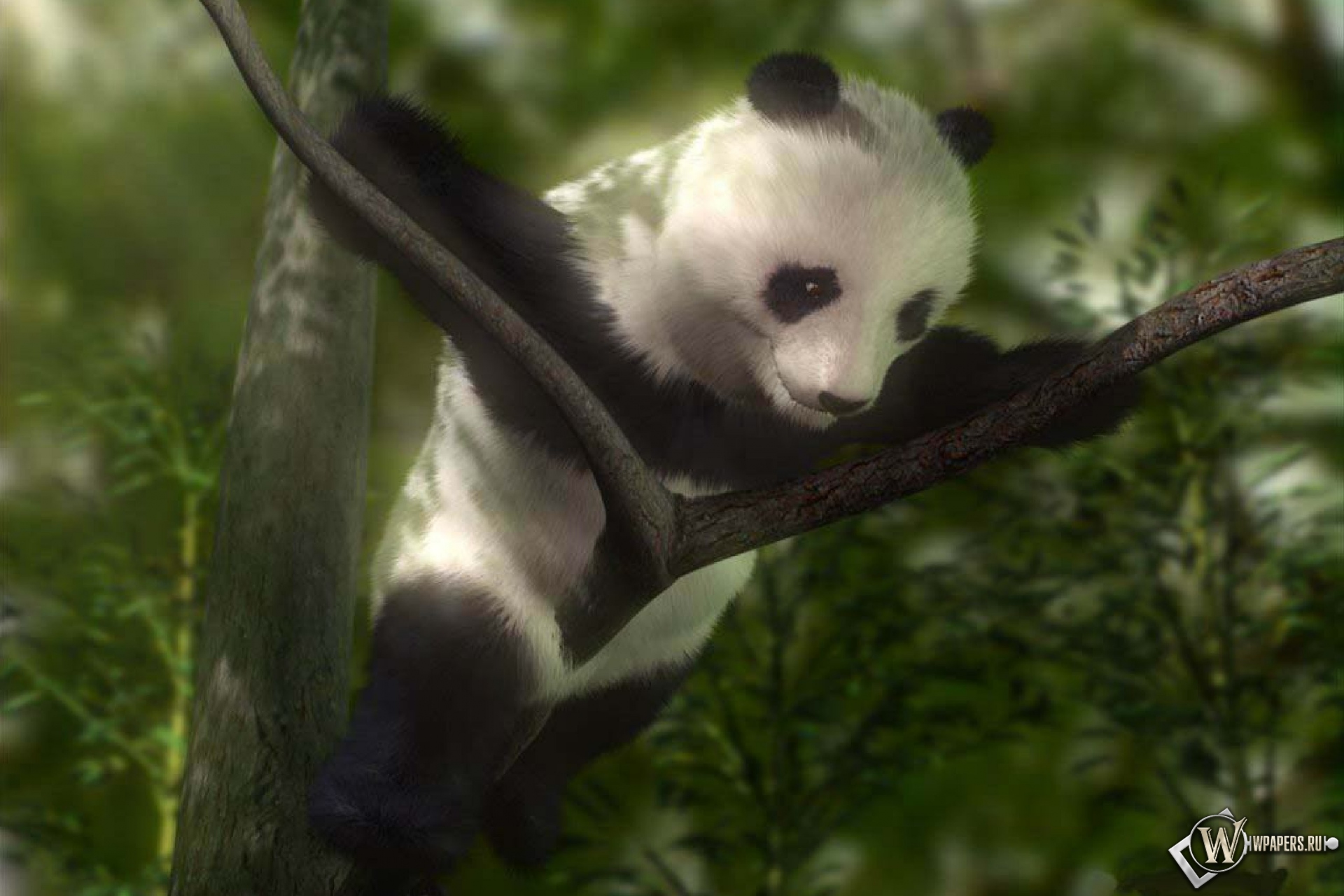 Панда на дереве 1920x1280