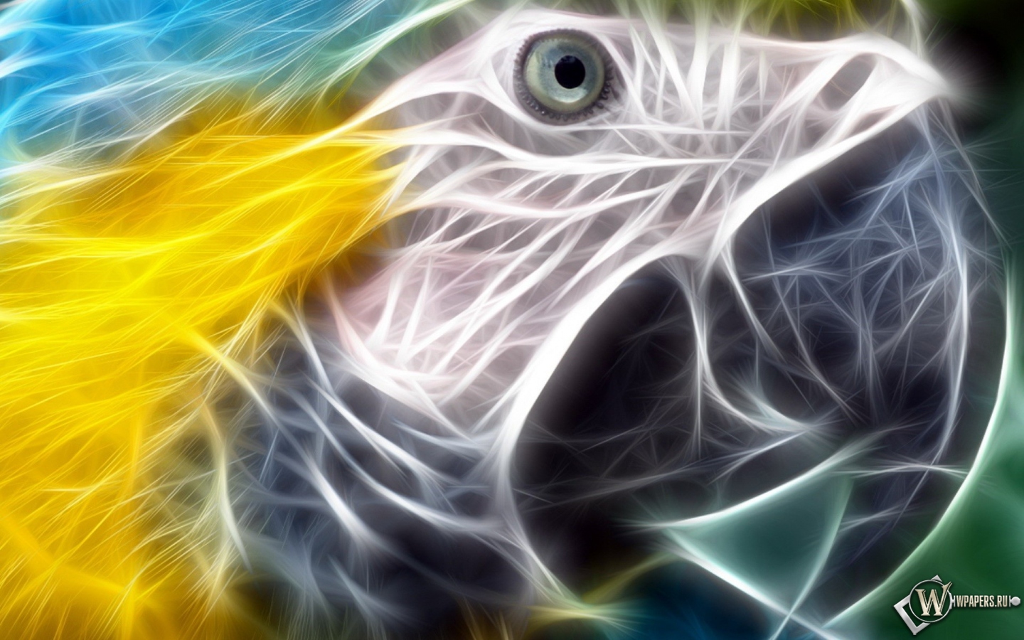 Неоновый попугай 1440x900