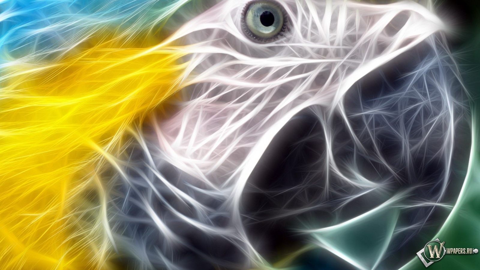 Неоновый попугай 1600x900