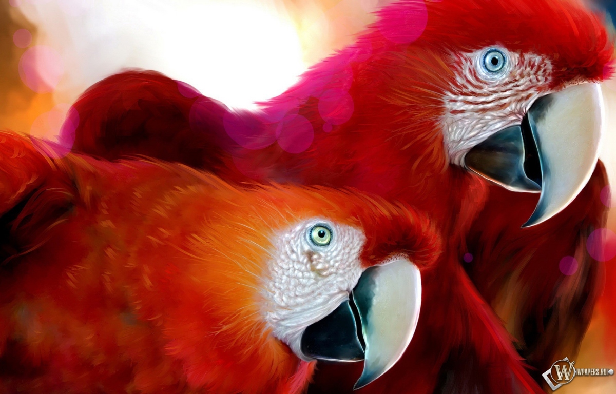 Красные попугаи 1200x768