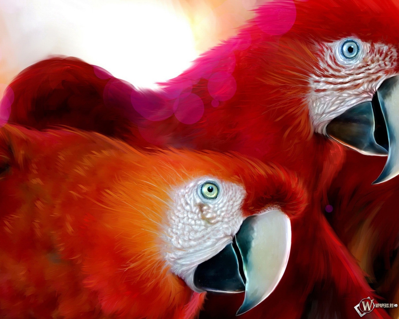 Красные попугаи 1280x1024