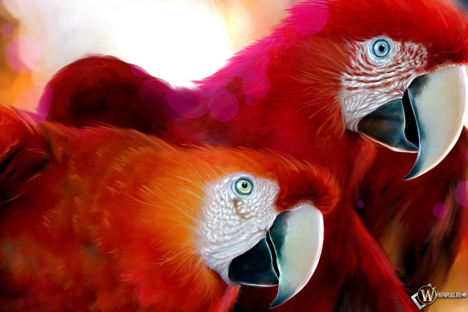 Красные попугаи 1500x1000