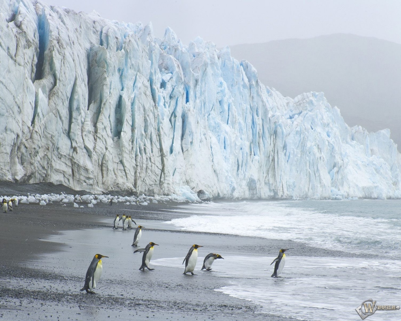Пингвины на леднике 1280x1024