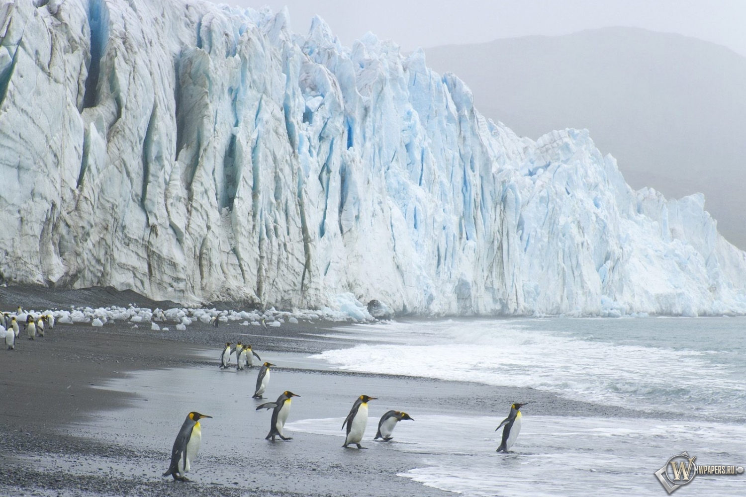 Пингвины на леднике 1500x1000