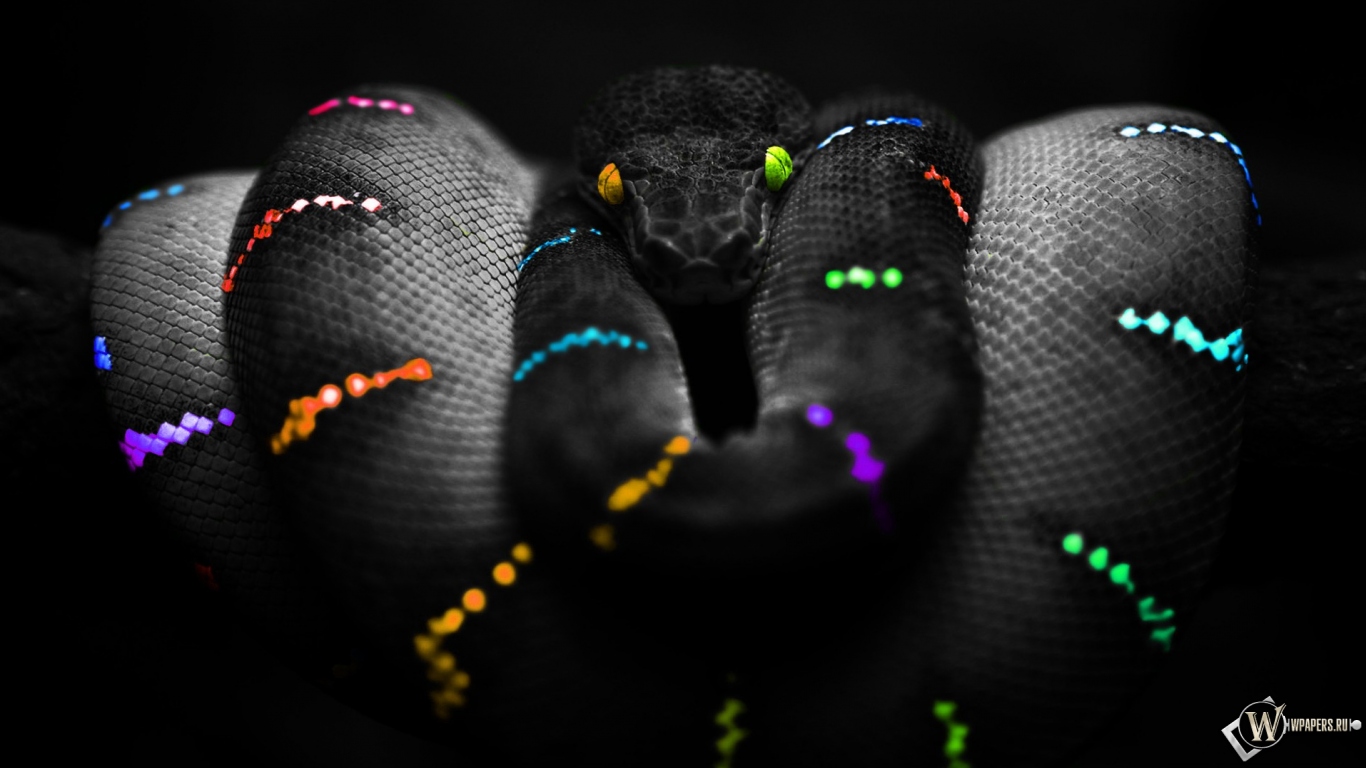 Цветная змея 1366x768