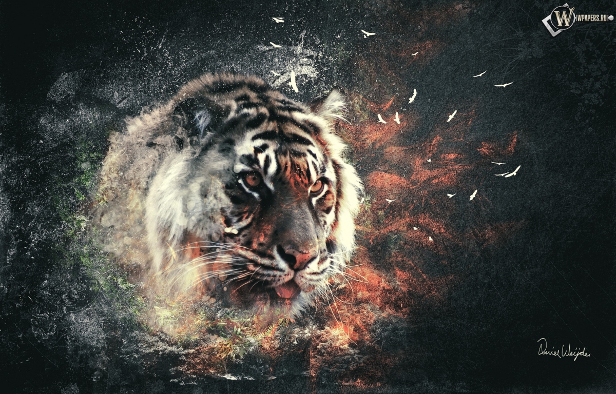 Тигр 1200x768