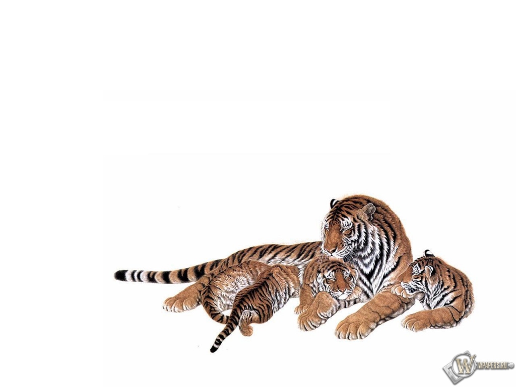 Тигрица с тигрятами 1024x768