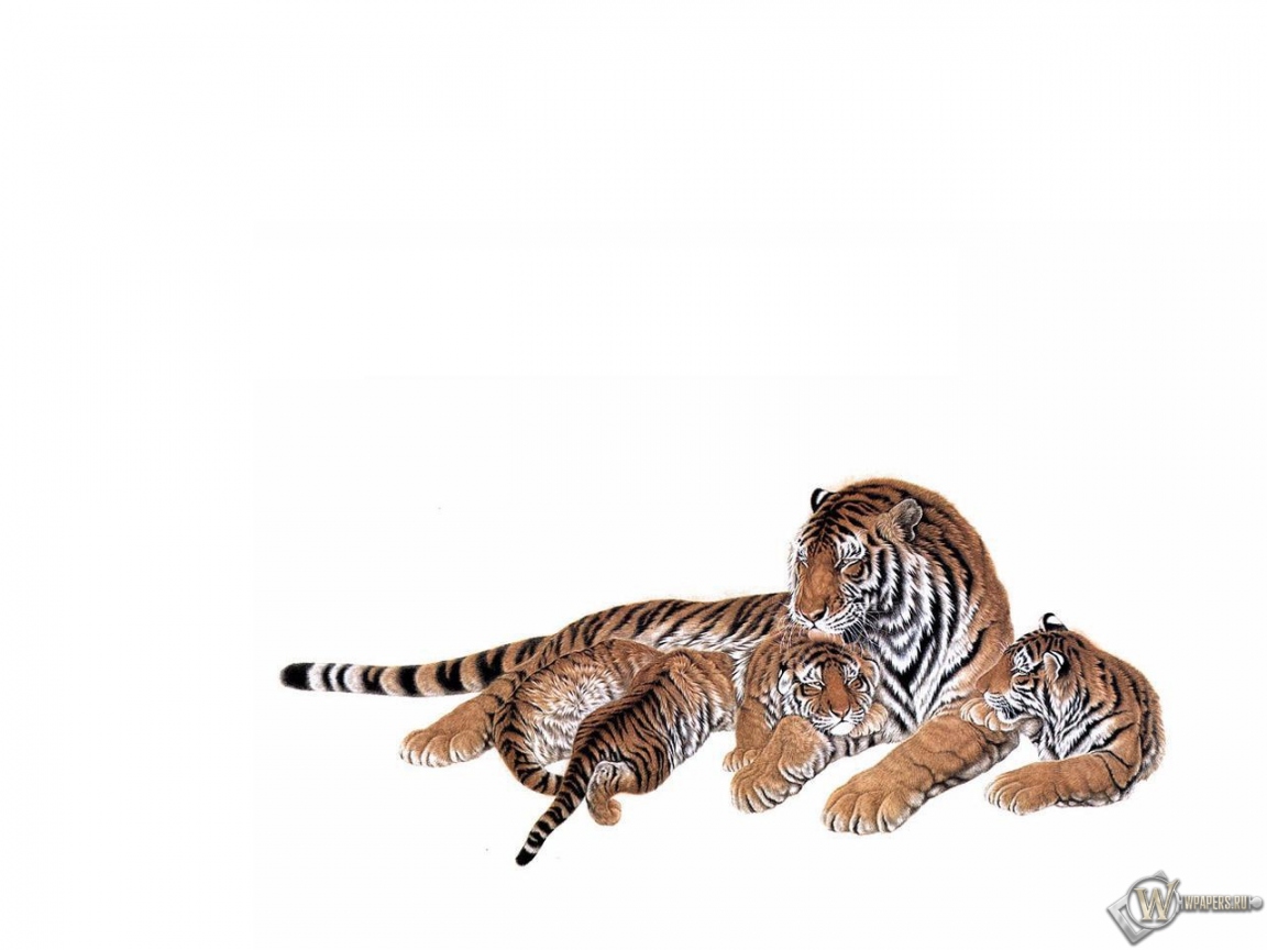 Тигрица с тигрятами 1152x864
