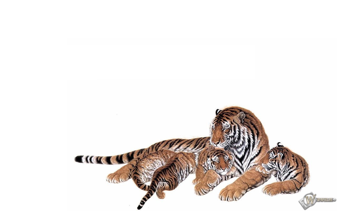 Тигрица с тигрятами 1280x800