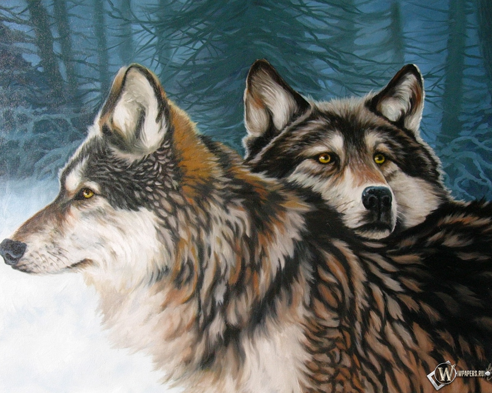 Два волка 1600x1280