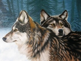 Обои Два волка: Зима, Лес, Волк, Арт, Волки