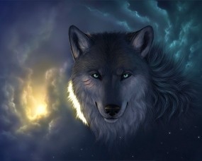 Обои Мудрый волк: Облака, Взгляд, Волк, Волки