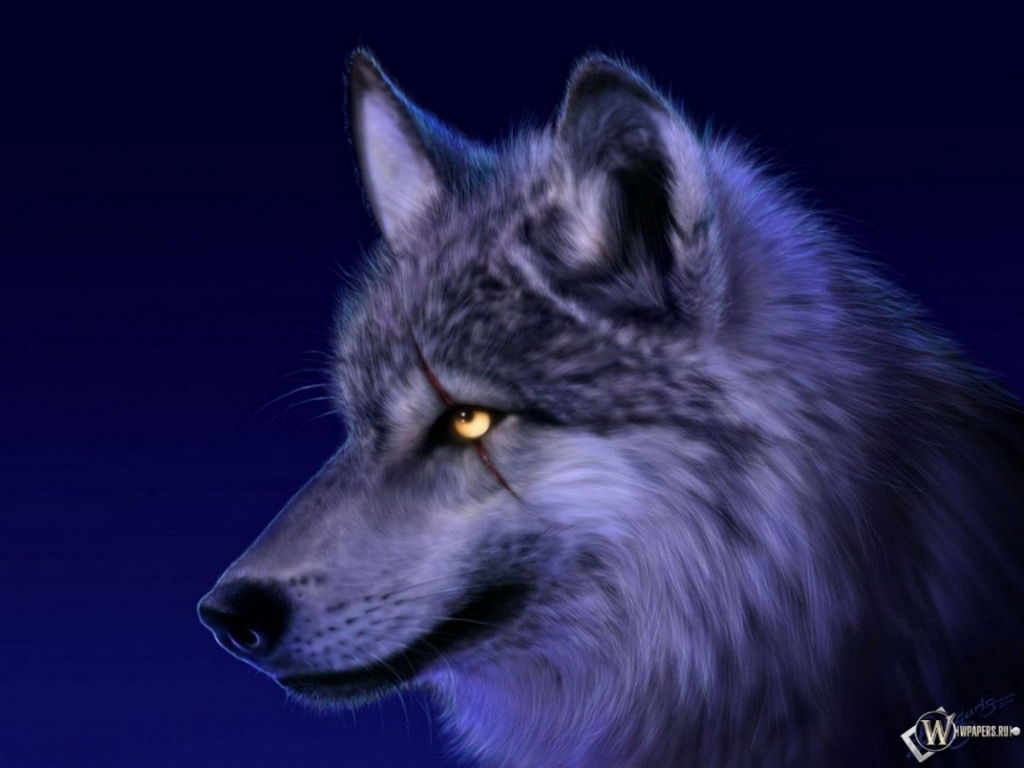 Сверепый волк 1024x768