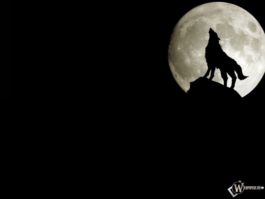 Волк на фоне луны 1024x768