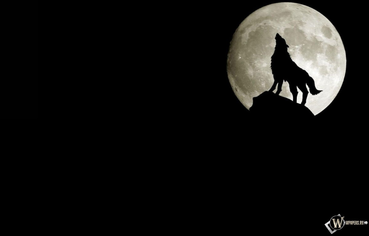 Волк на фоне луны 1200x768