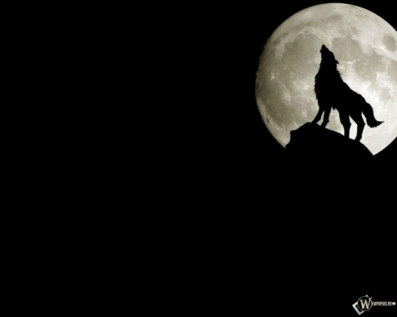 Волк на фоне луны 1280x1024