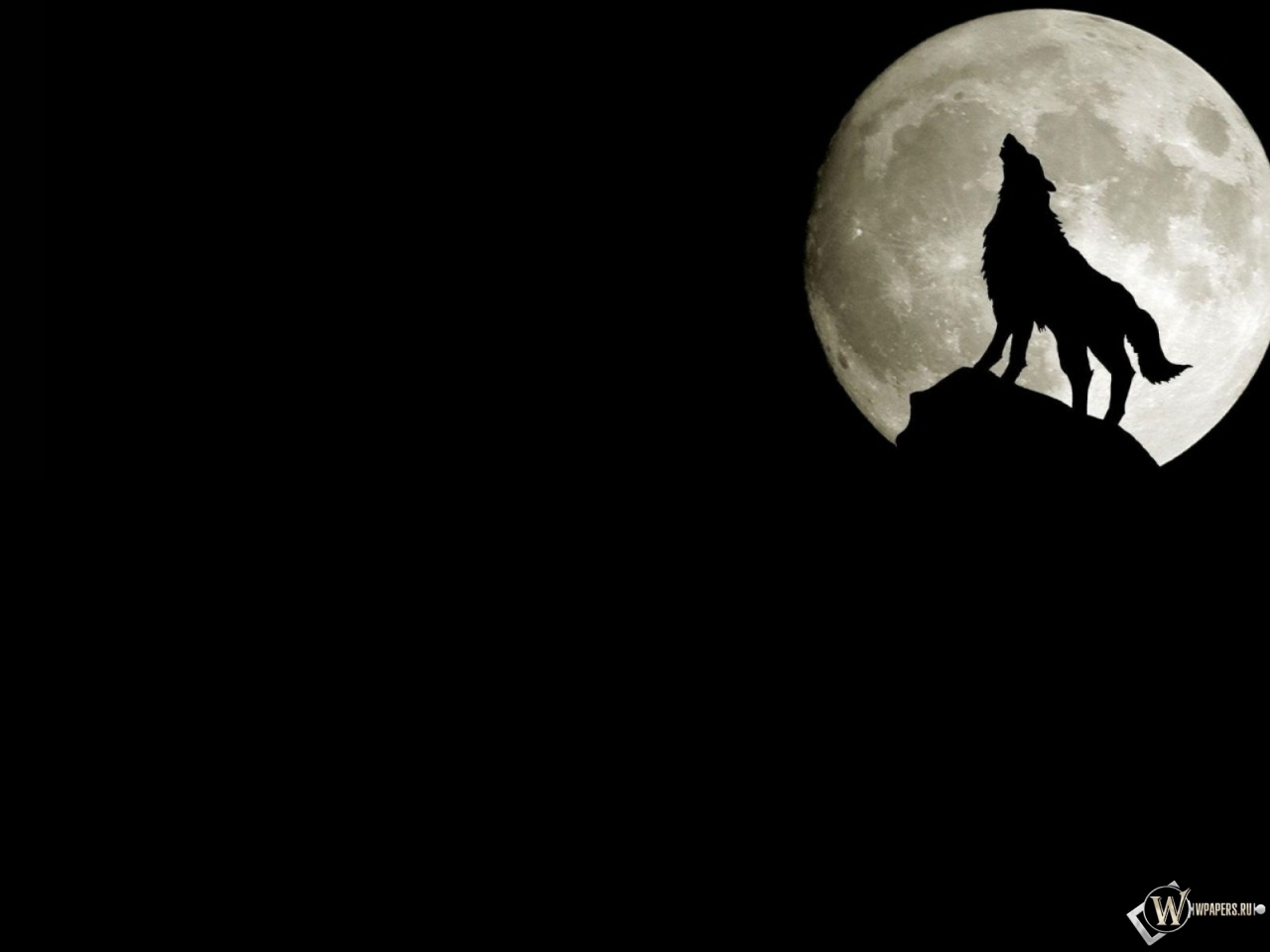 Волк на фоне луны 1280x960