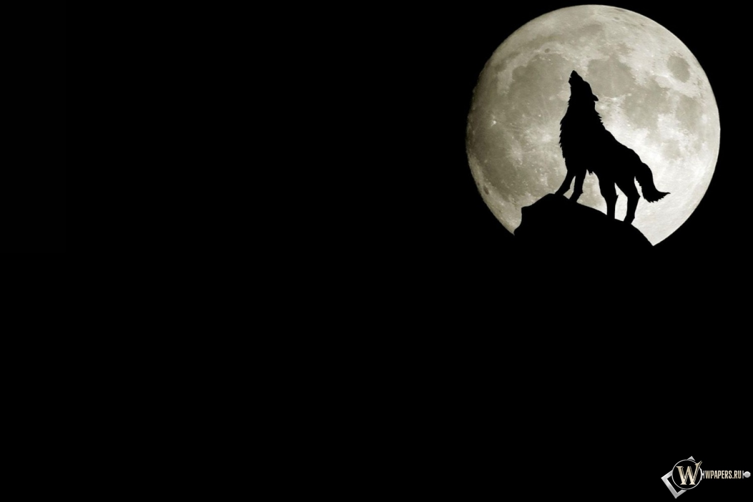 Волк на фоне луны 1500x1000