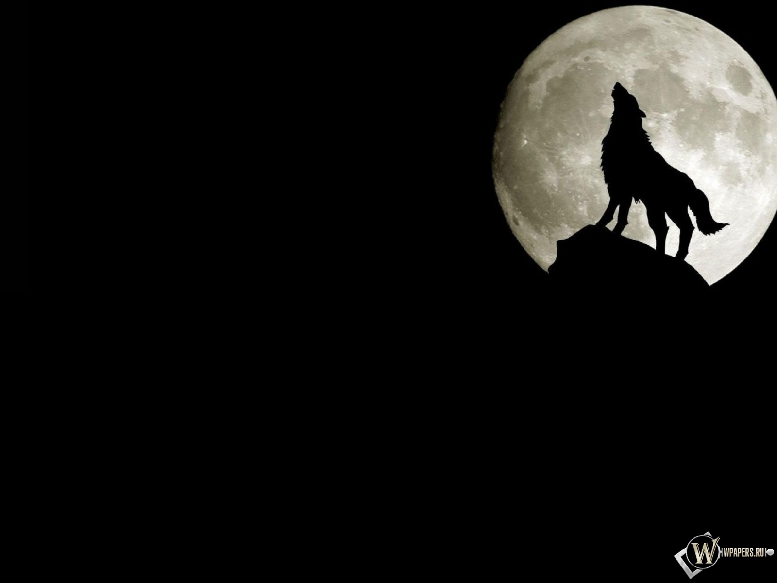 Волк на фоне луны 1600x1200