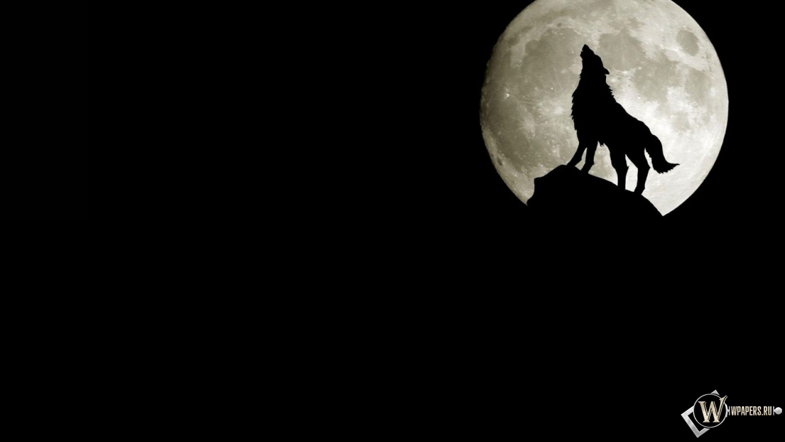 Волк на фоне луны 1600x900