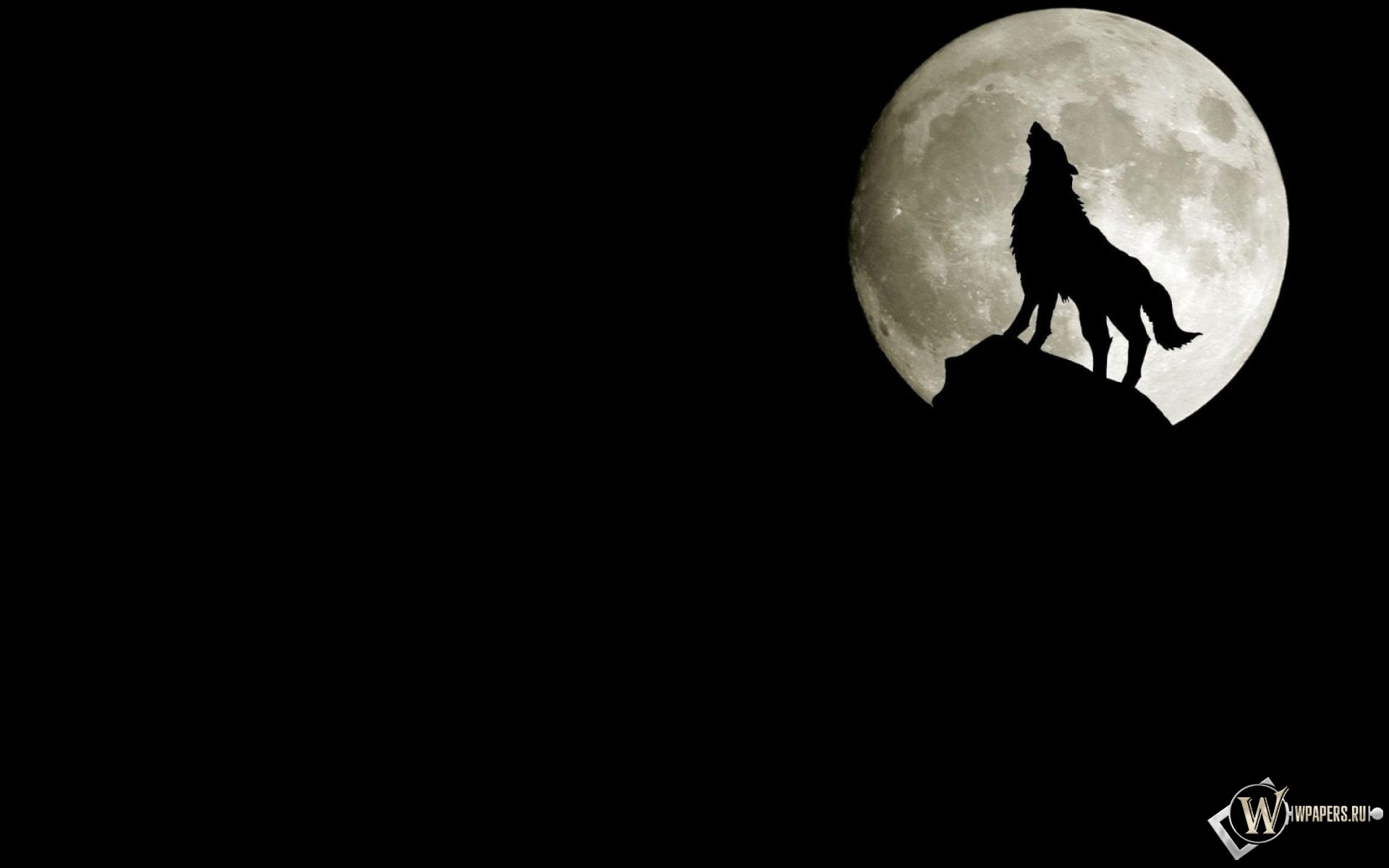 Волк на фоне луны 1920x1200