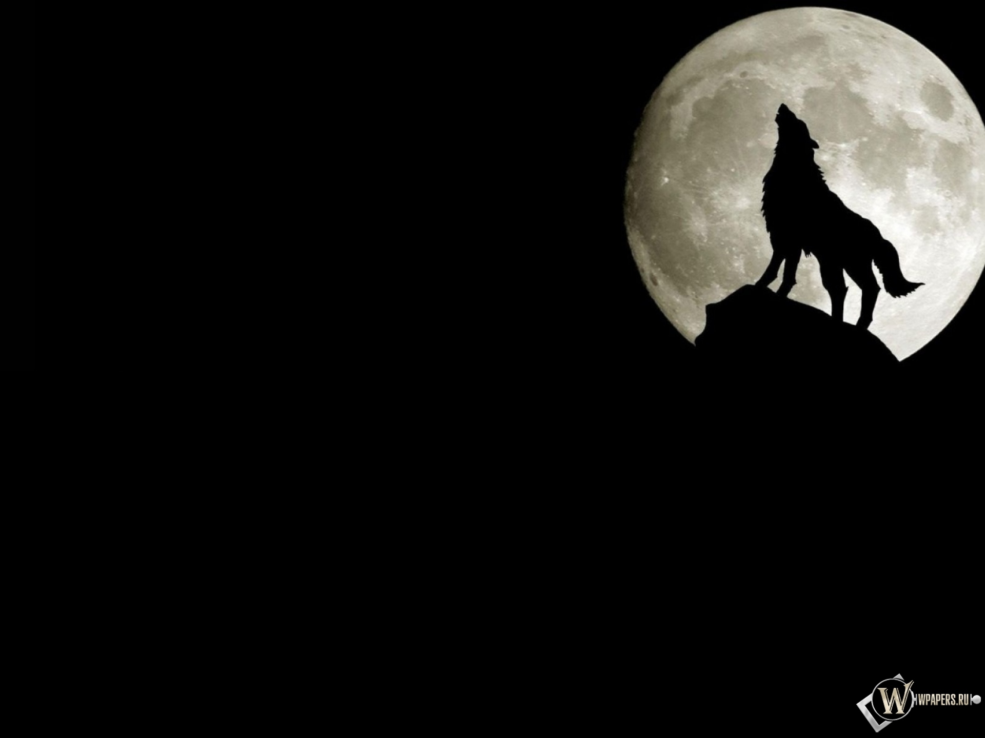 Волк на фоне луны 1920x1440